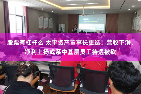 股票有杠杆么 太平资产董事长更迭！营收下滑、净利上扬或系中基层员工待遇被砍