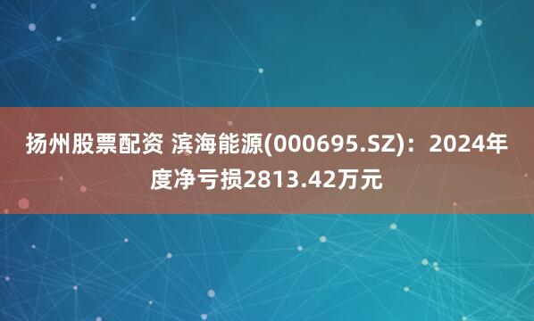 扬州股票配资 滨海能源(000695.SZ)：2024年度净亏损2813.42万元