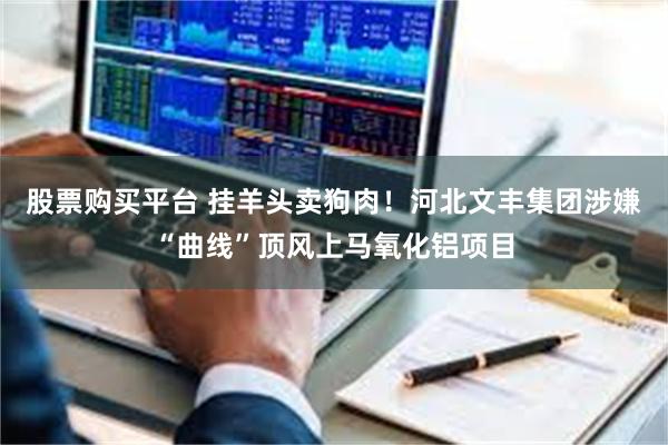 股票购买平台 挂羊头卖狗肉！河北文丰集团涉嫌“曲线”顶风上马氧化铝项目