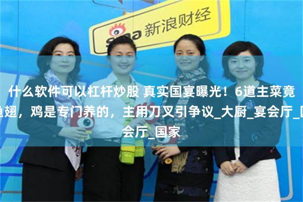 什么软件可以杠杆炒股 真实国宴曝光！6道主菜竟有鱼翅，鸡是专门养的，主用刀叉引争议_大厨_宴会厅_国家